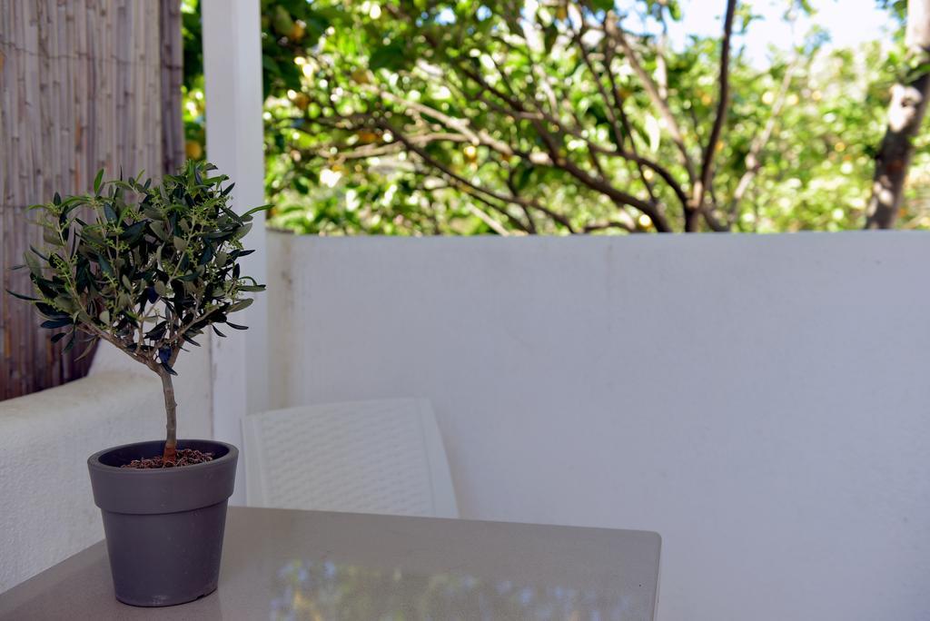 Flora'S Houses Mykonos Kluvász Kültér fotó